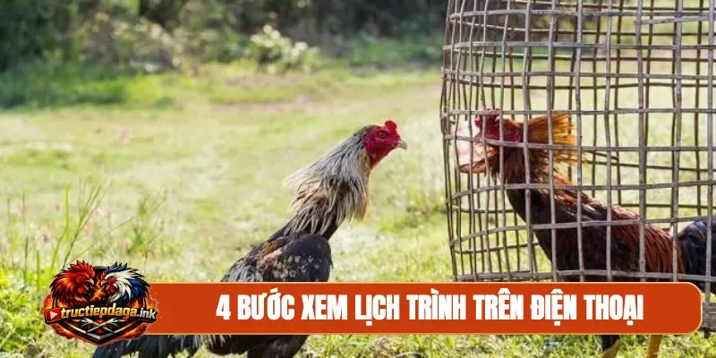 4 bước xem lịch trình trên điện thoại