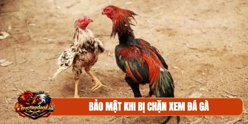 Bảo mật khi bị chặn xem đá gà