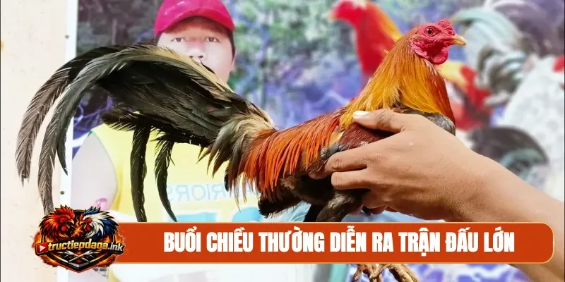 Buổi chiều thường diễn ra trận đấu lớn