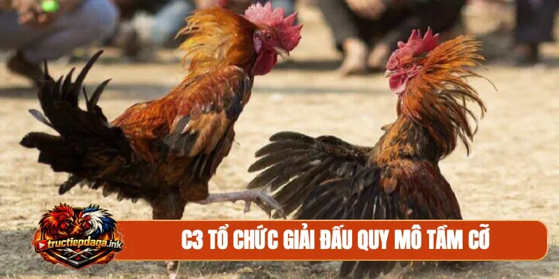 C3 tổ chức giải đấu quy mô tầm cỡ