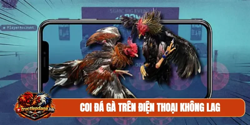 Coi đá gà trên điện thoại không lag