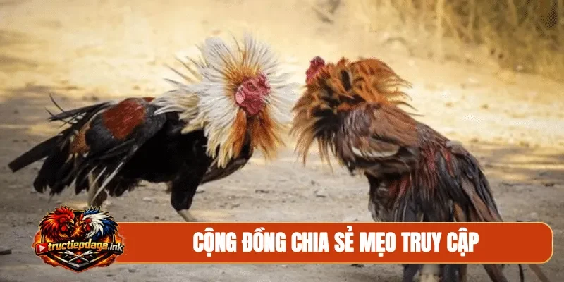 Cộng đồng chia sẻ mẹo truy cập