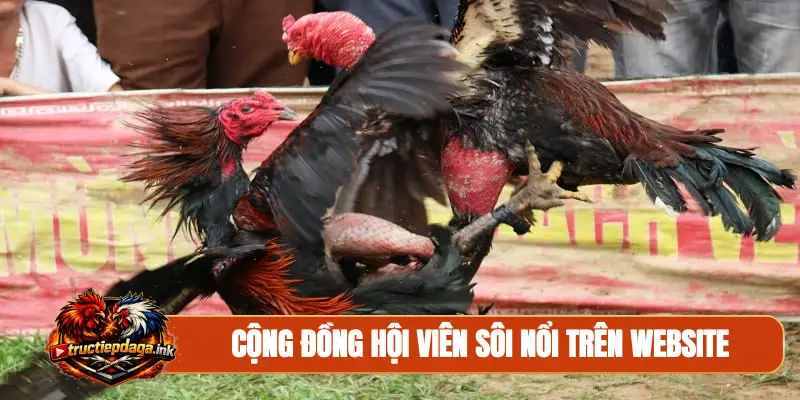 Cộng đồng hội viên sôi nổi trên website