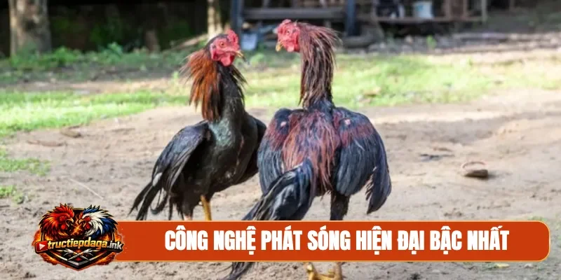 Công nghệ phát sóng hiện đại bậc nhất