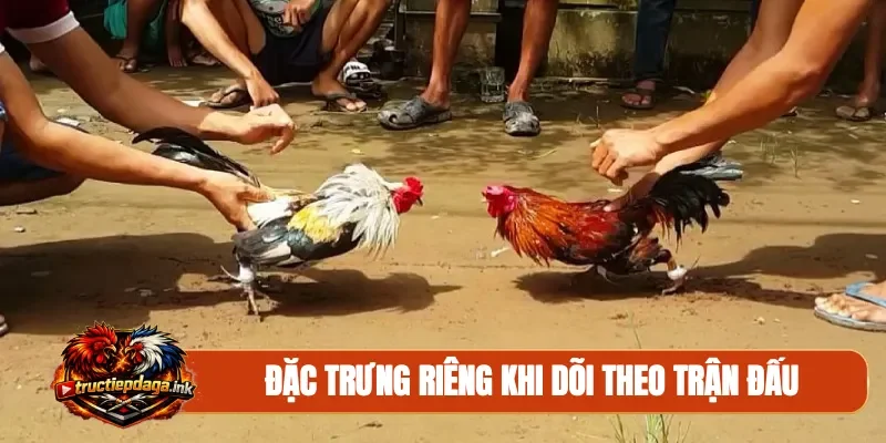 Đặc trưng riêng khi dõi theo trận đấu
