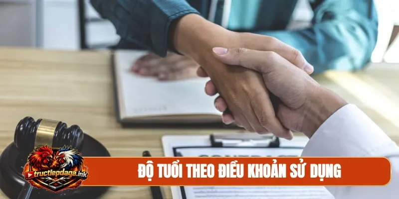 Độ tuổi theo điều khoản sử dụng