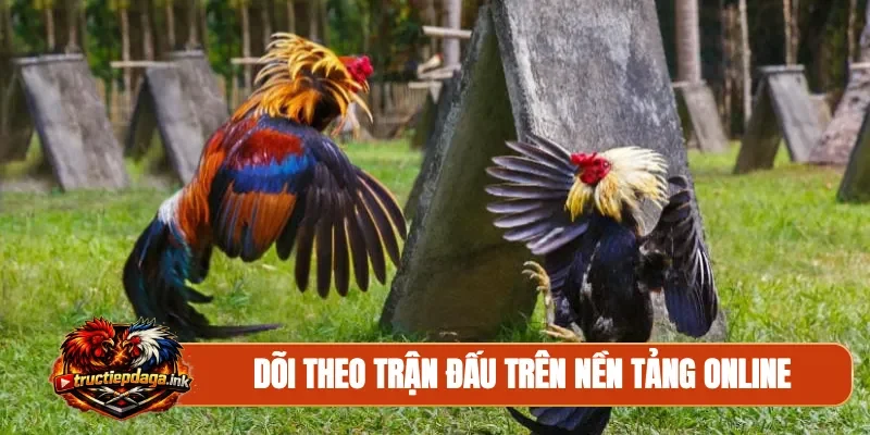 Dõi theo trận đấu trên nền tảng online