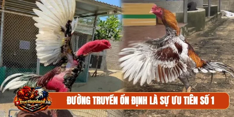 Đường truyền ổn định là sự ưu tiên số 1