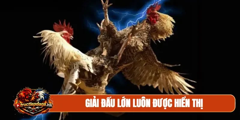 Giải đấu lớn luôn được hiển thị