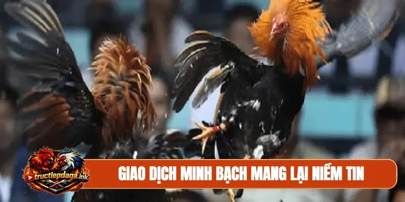 Giao dịch minh bạch mang lại niềm tin