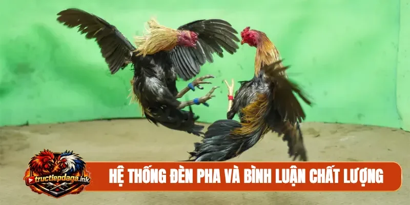 Hệ thống đèn pha và bình luận chất lượng
