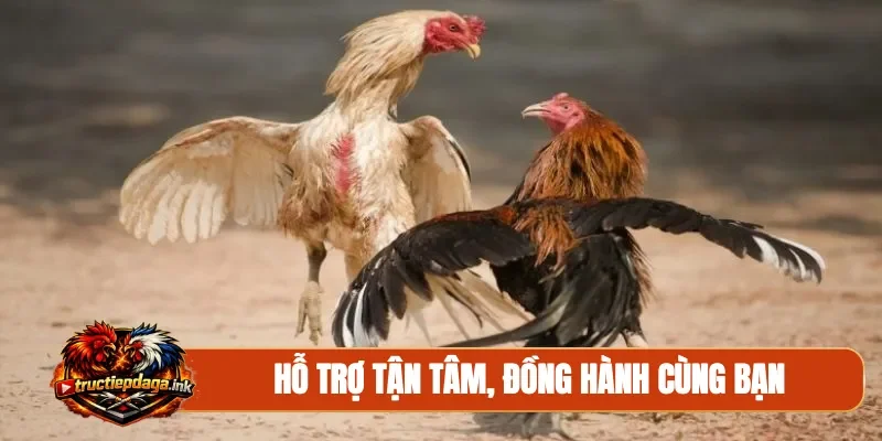 Hỗ trợ tận tâm, đồng hành cùng bạn