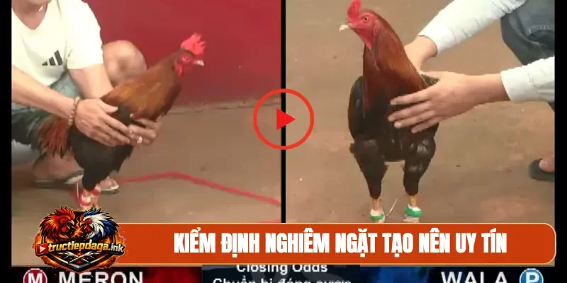 Kiểm định nghiêm ngặt tạo nên uy tín