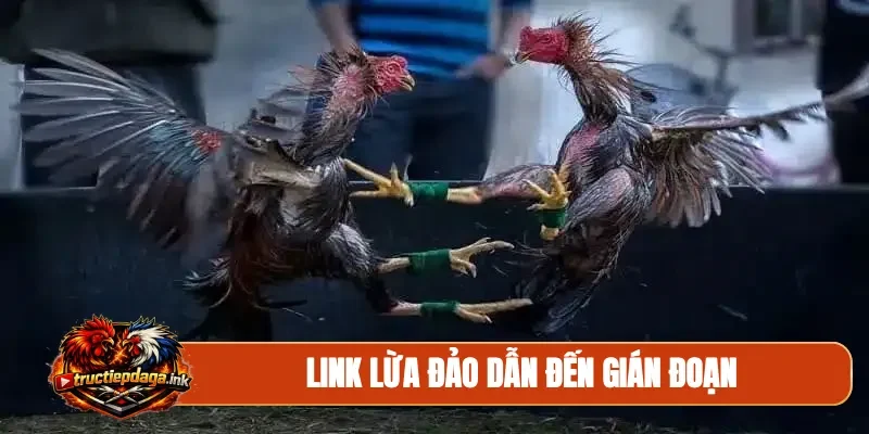 Link lừa đảo dẫn đến gián đoạn
