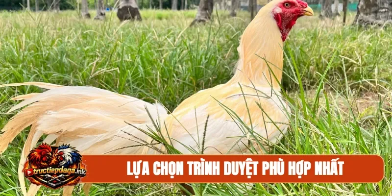 Lựa chọn trình duyệt phù hợp nhất