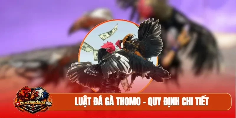 Luật đá gà Thomo