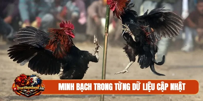 Minh bạch trong từng dữ liệu cập nhật