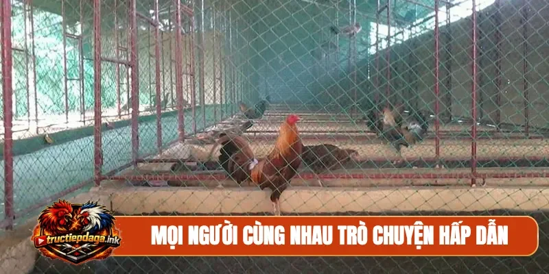 Mọi người cùng nhau trò chuyện hấp dẫn