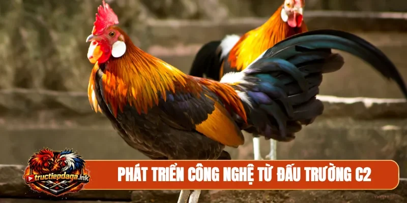 Phát triển công nghệ từ đấu trường C2