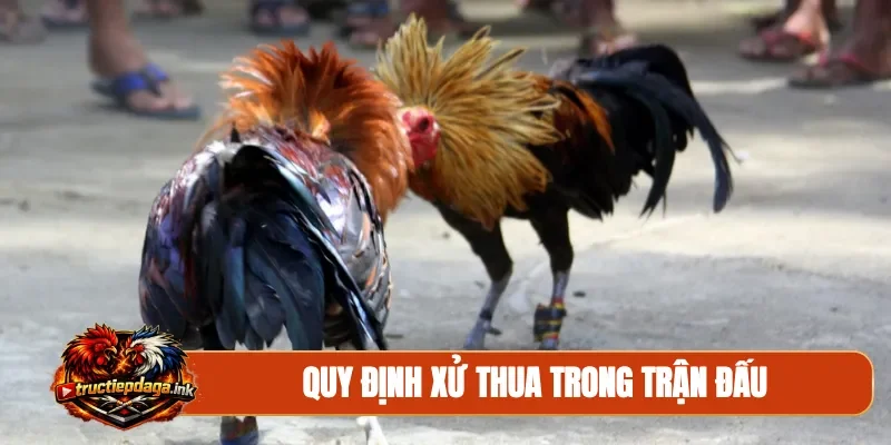 Quy định xử thua trong trận đấu