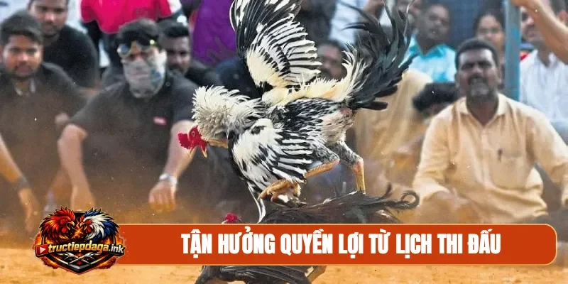 Tận hưởng quyền lợi từ lịch thi đấu