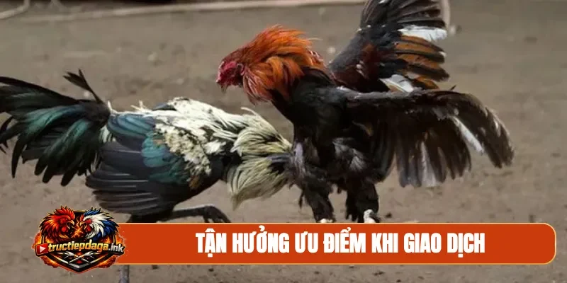 Tận hưởng ưu điểm khi giao dịch