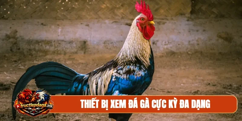 Thiết bị xem đá gà cực kỳ đa dạng