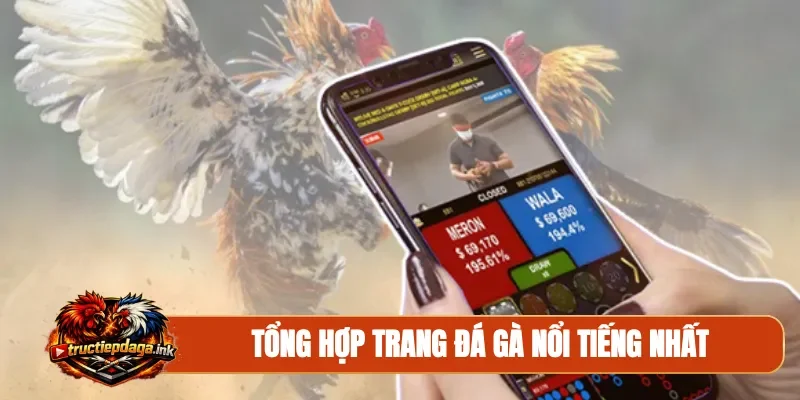 Tổng hợp trang đá gà nổi tiếng nhất
