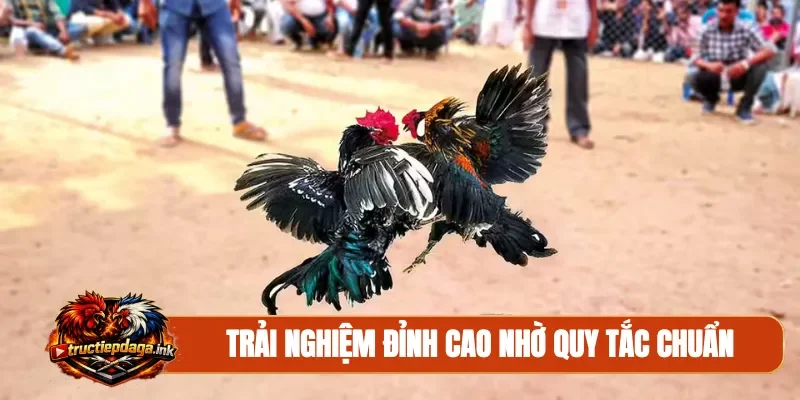 Trải nghiệm đỉnh cao nhờ quy tắc chuẩn