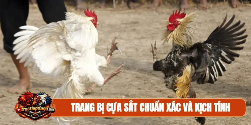 Trang bị cựa sắt chuẩn xác và kịch tính