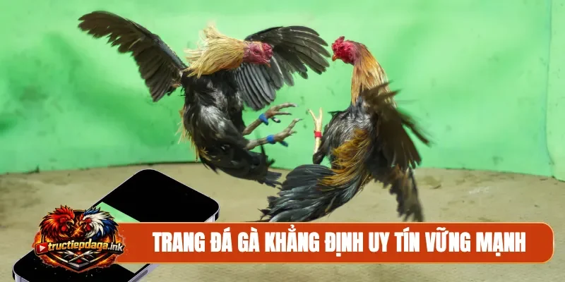 Trang đá gà khẳng định uy tín vững mạnh