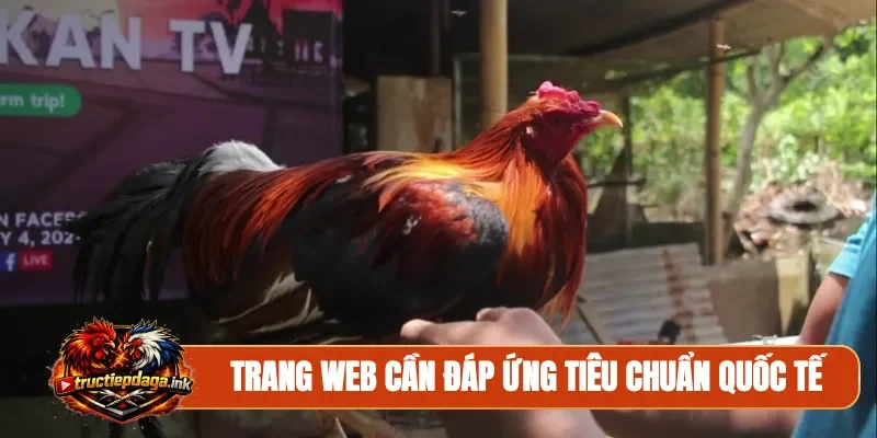 Trang web cần đáp ứng tiêu chuẩn quốc tế