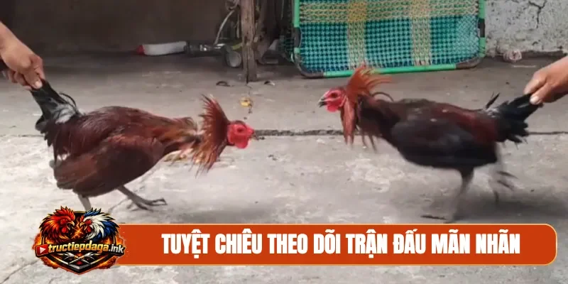 Tuyệt chiêu theo dõi trận đấu mãn nhãn